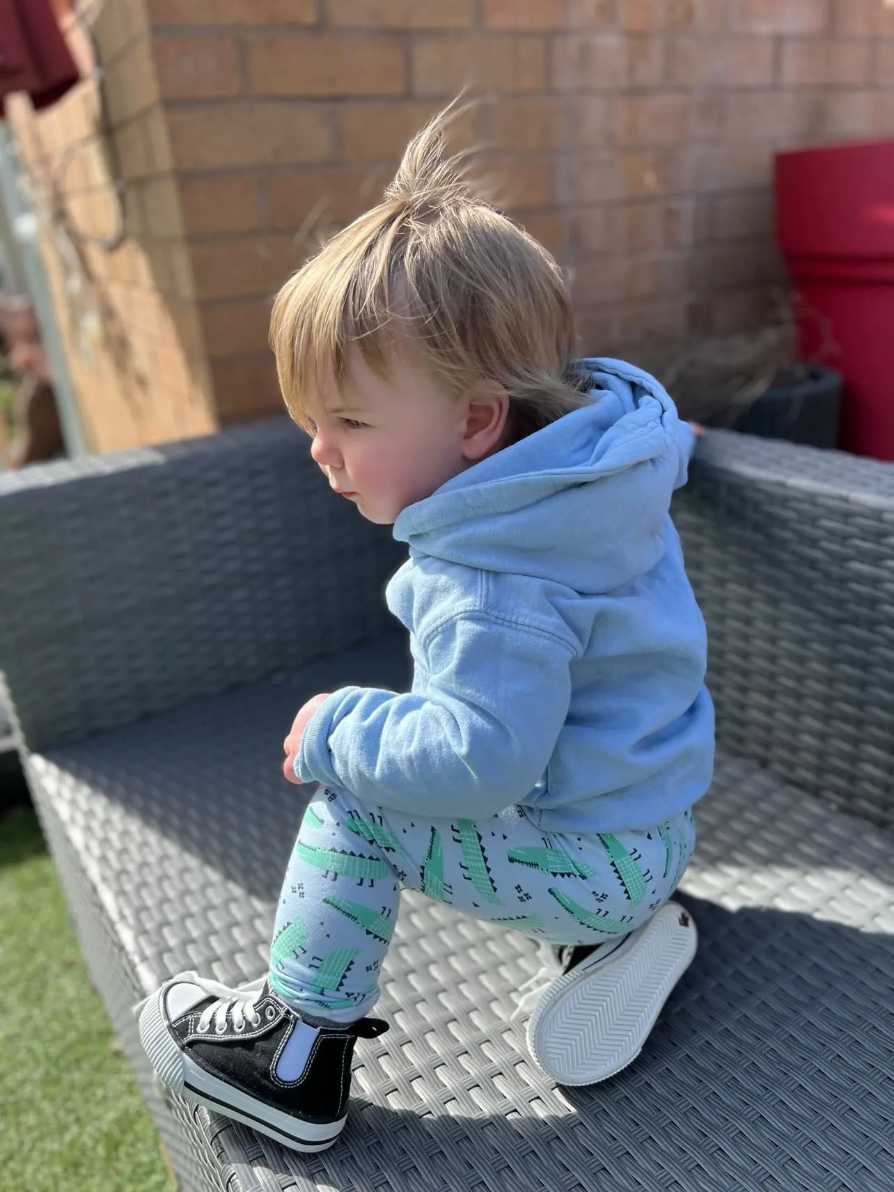 Blue Croc Leggings