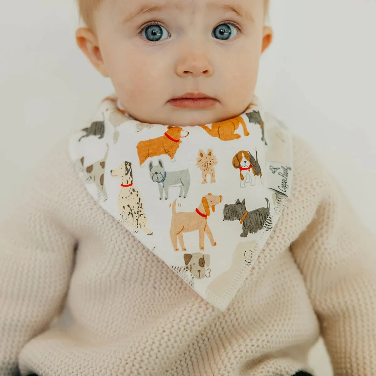 Copper Pearl - Bandana Bib (4 pack) - Rufus