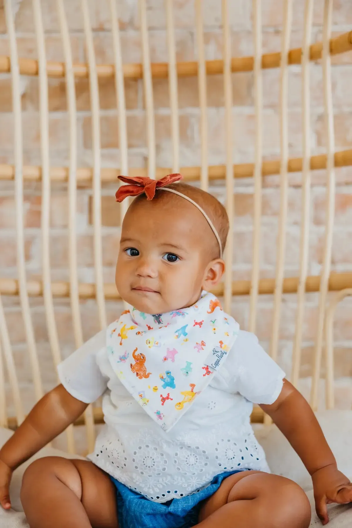 Copper Pearl Sesame Street Abby and Pals Bandana Bib Set