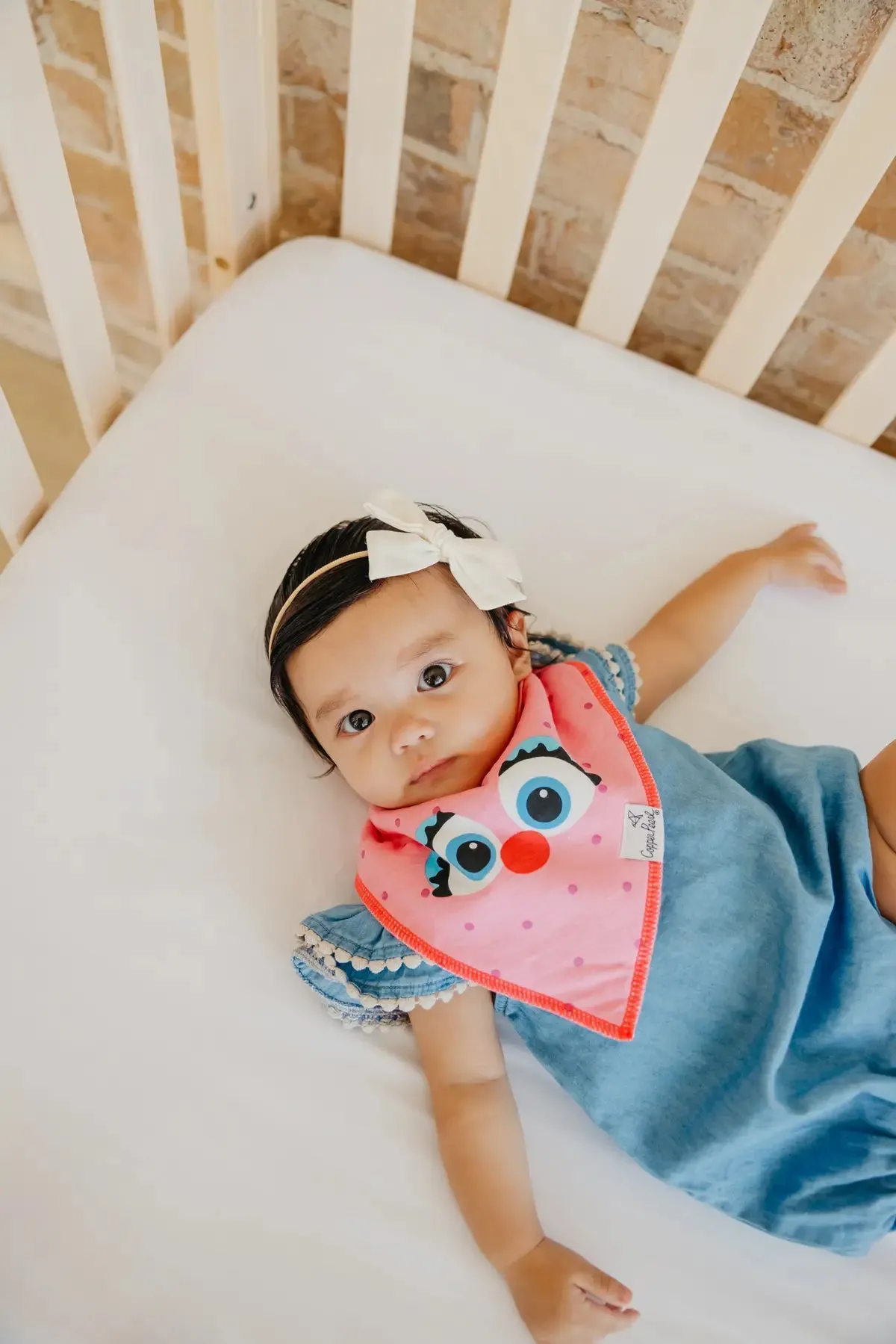 Copper Pearl Sesame Street Abby and Pals Bandana Bib Set