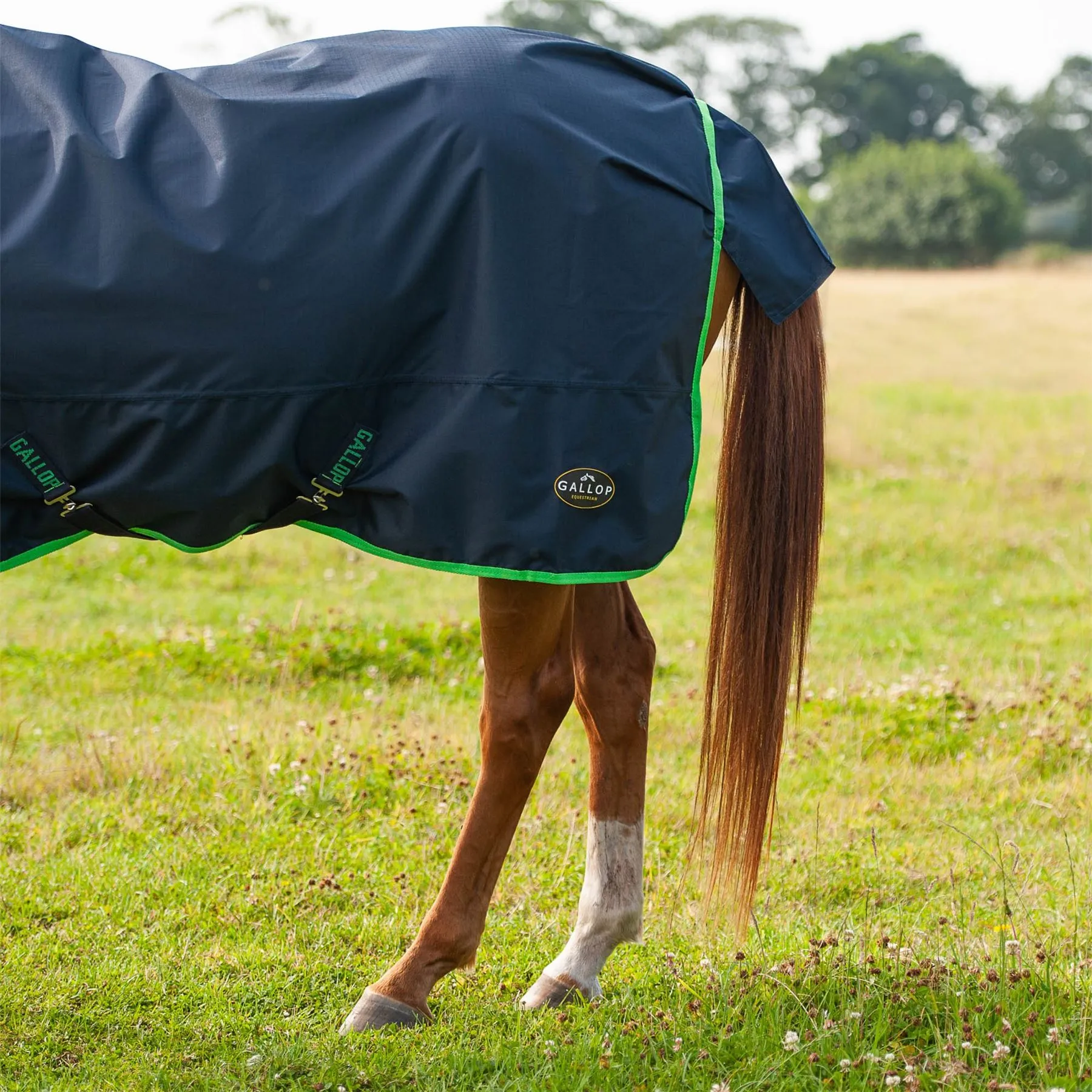 Gallop Equestrian Trojan Lite Weight Combo Turnout