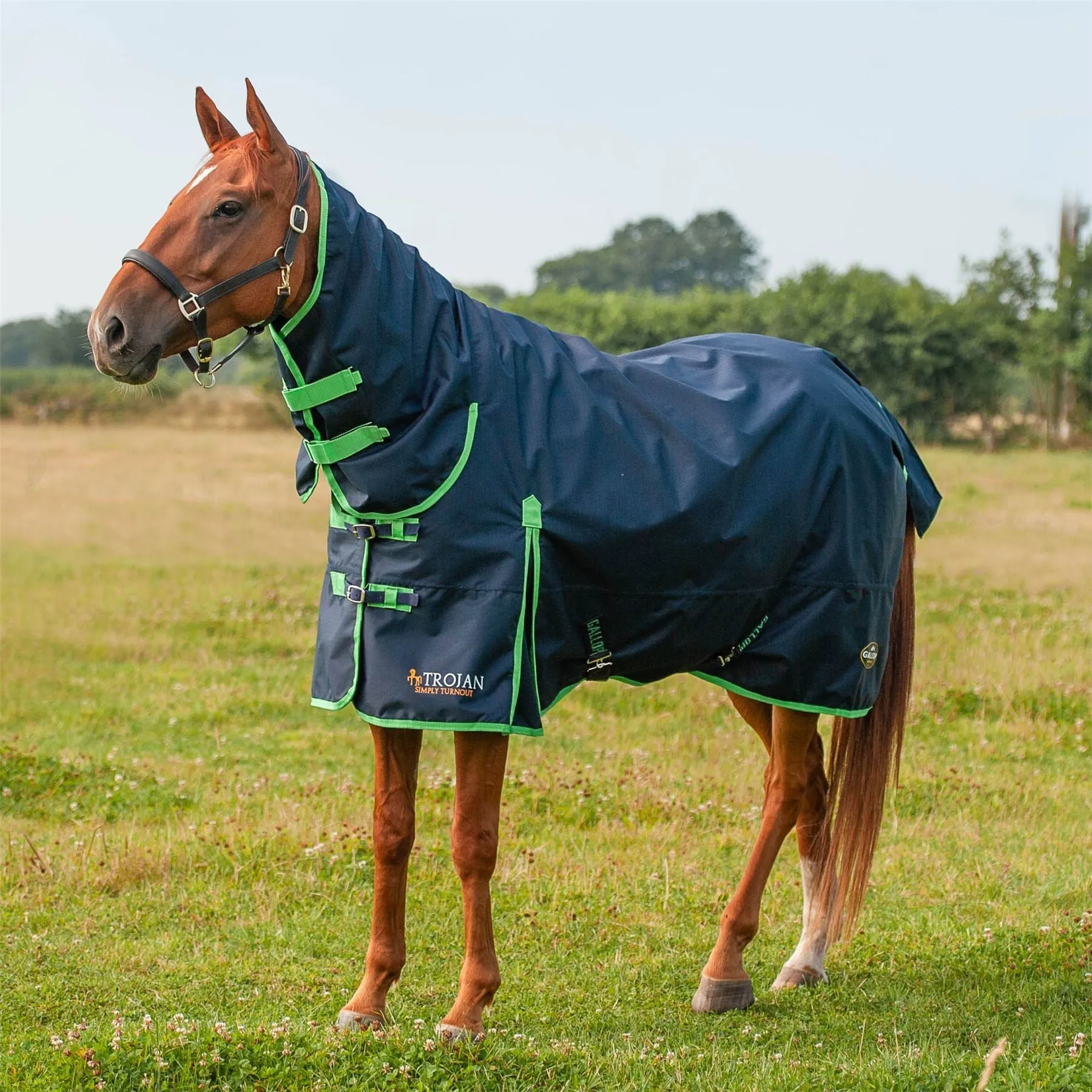 Gallop Equestrian Trojan Lite Weight Combo Turnout