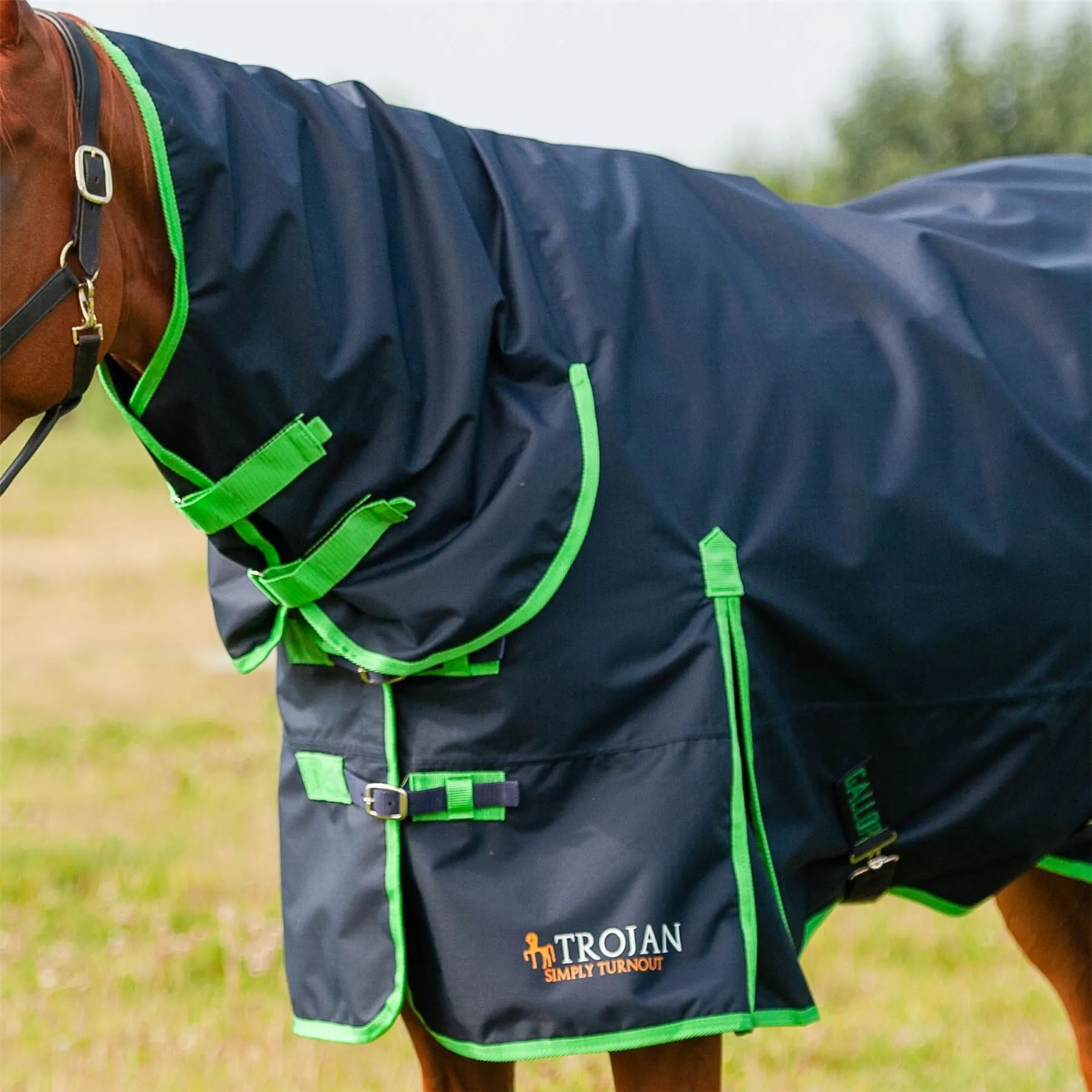Gallop Equestrian Trojan Lite Weight Combo Turnout