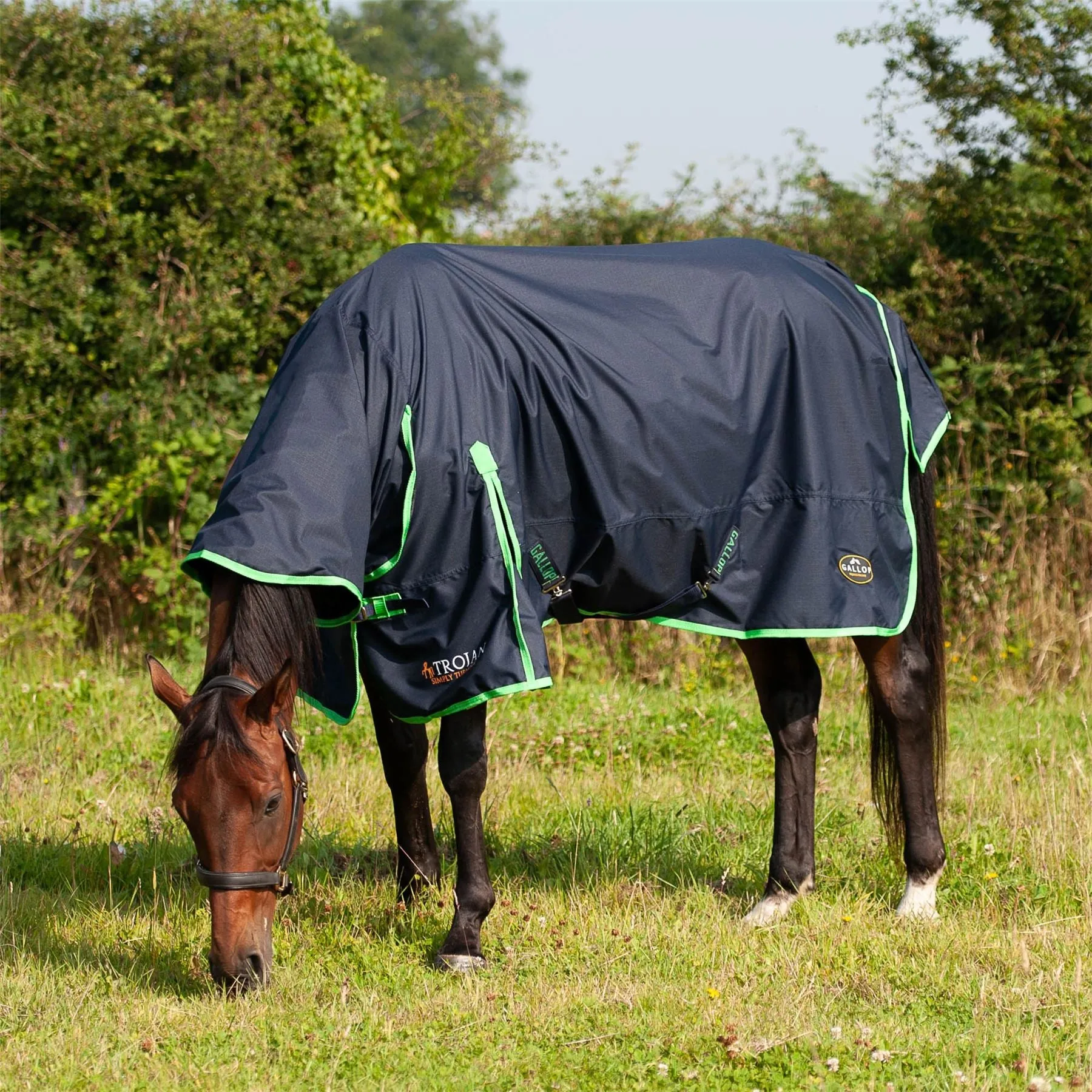 Gallop Equestrian Trojan Lite Weight Combo Turnout