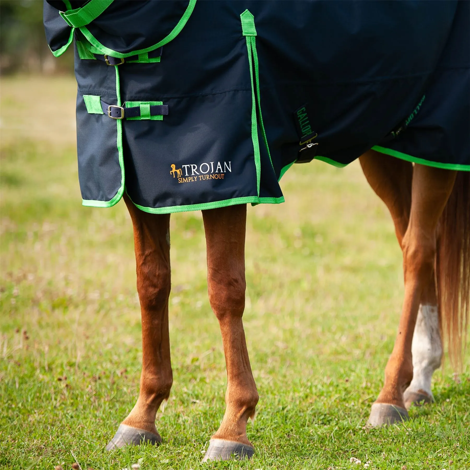 Gallop Equestrian Trojan Lite Weight Combo Turnout