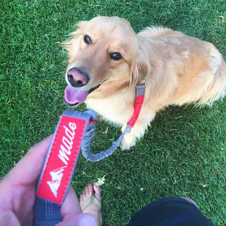 Mountain Made Pets Hands Free Dog Leash
