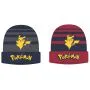 Pokemon Beanie hat