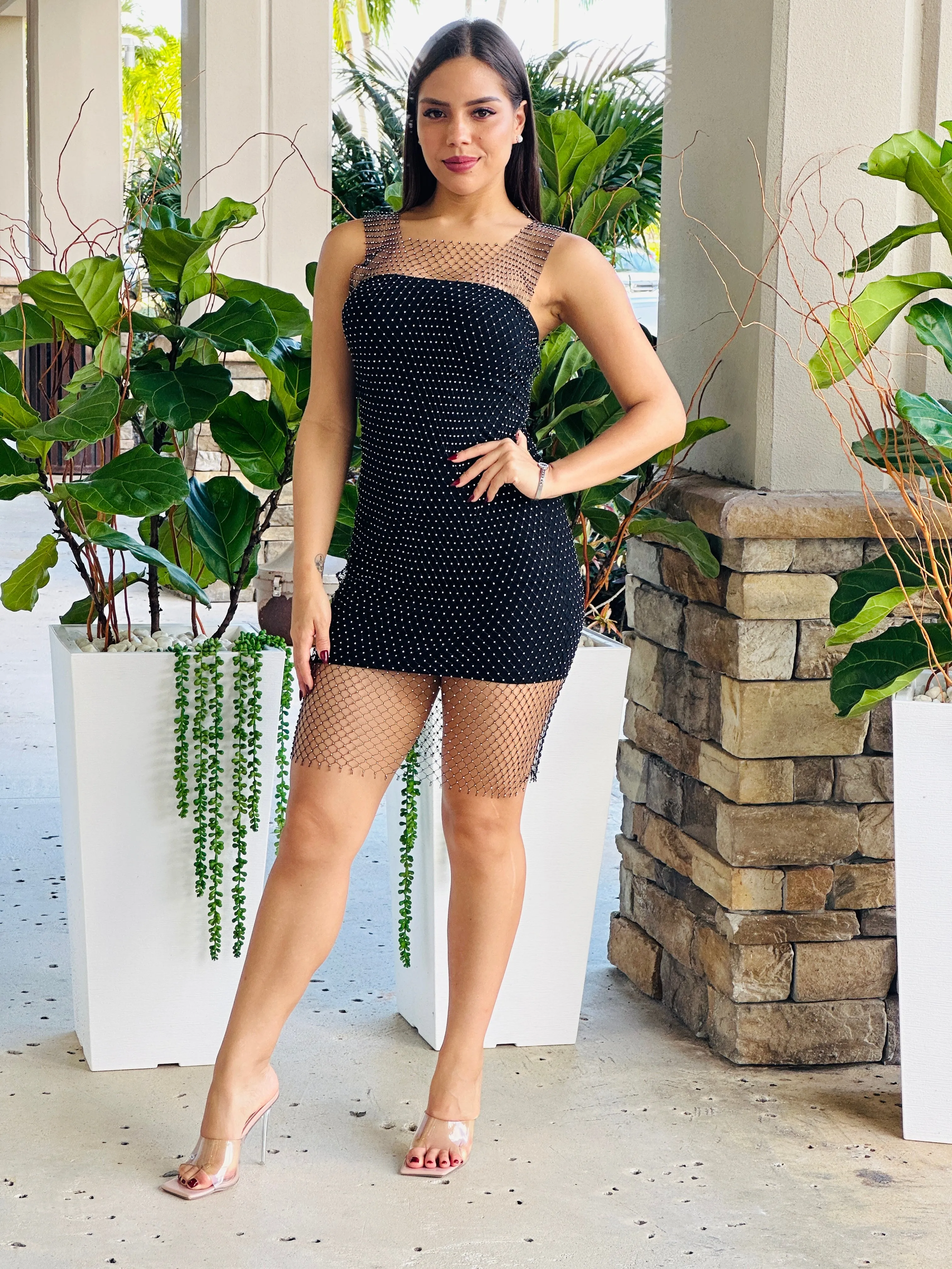 "Pamela" Rhinestone Mesh Mini Dress