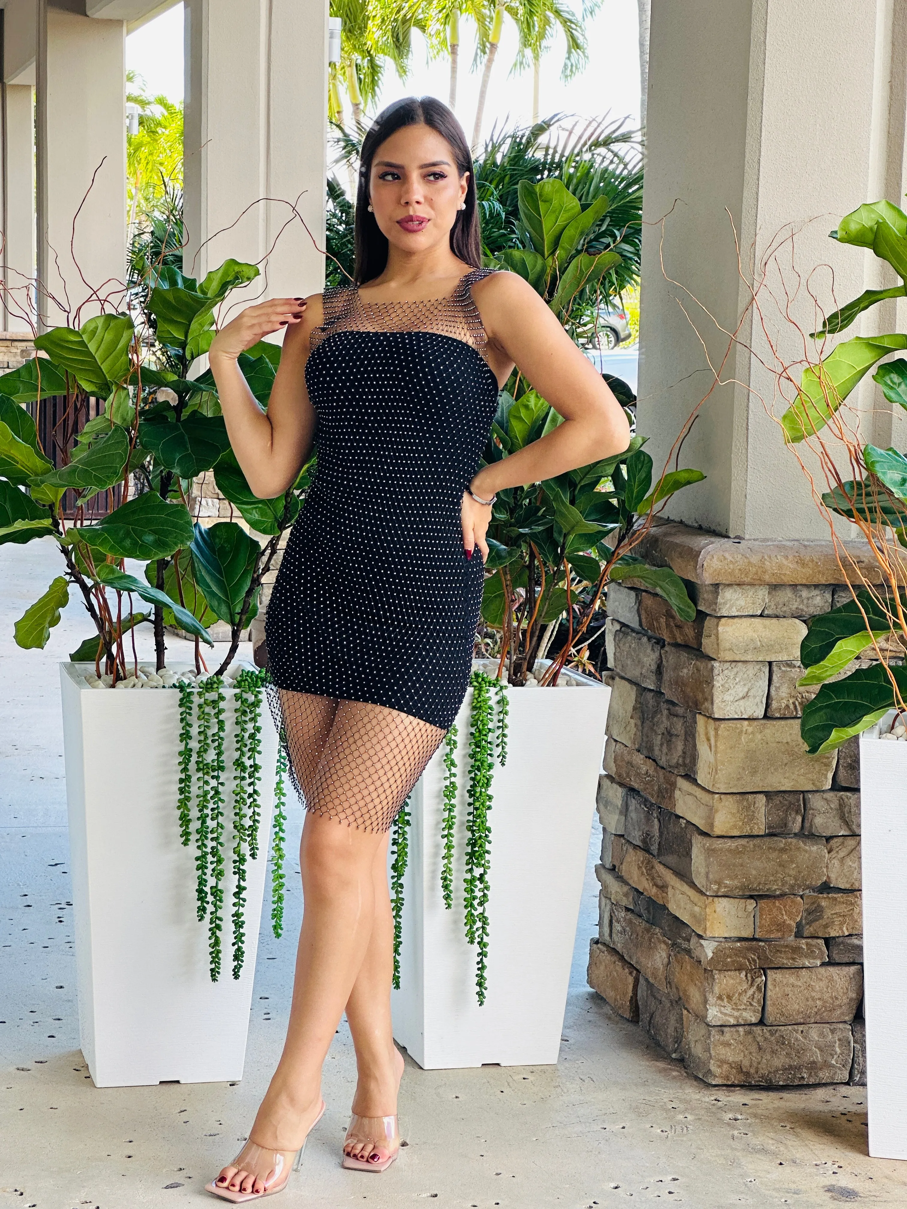 "Pamela" Rhinestone Mesh Mini Dress