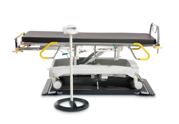 seca 657 - Class III high capacity digital platform scale for trolleys / stretchers with BMI, wireless connectivity