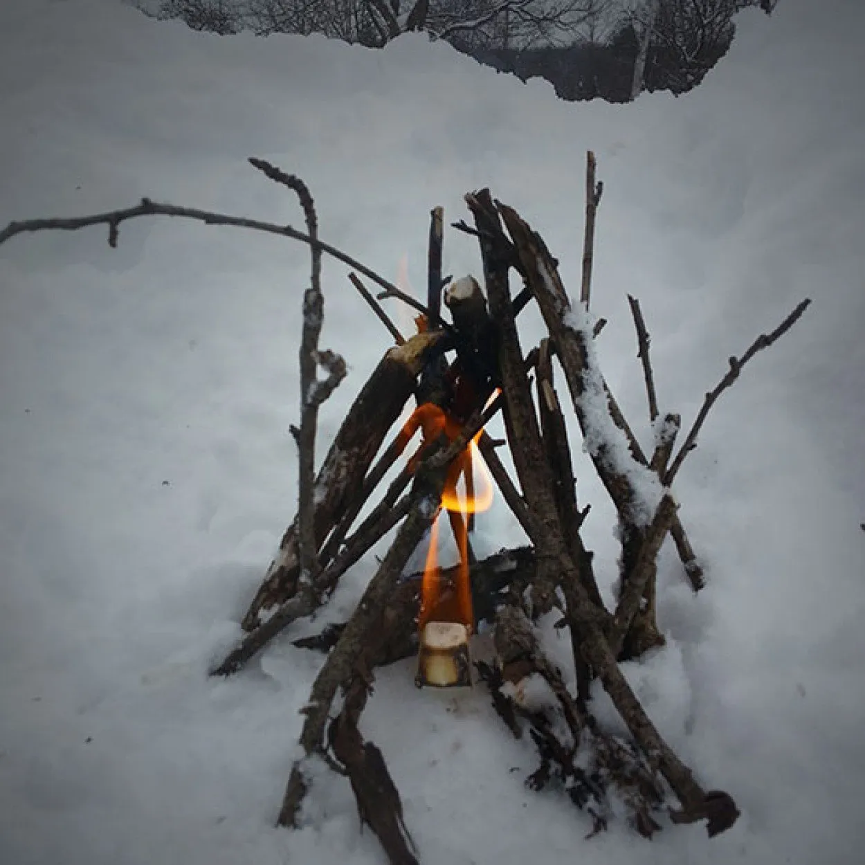 Survive Outdoors Longer SOL All Weather Fire Cubes