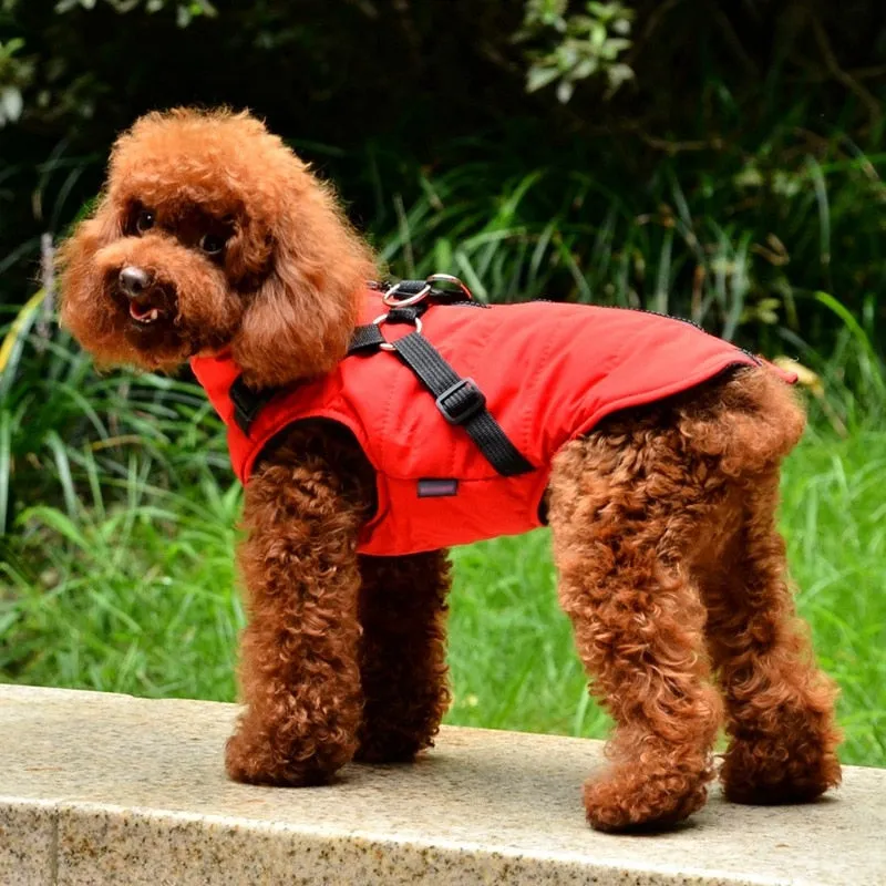 Winter Harness Jacket for Pets