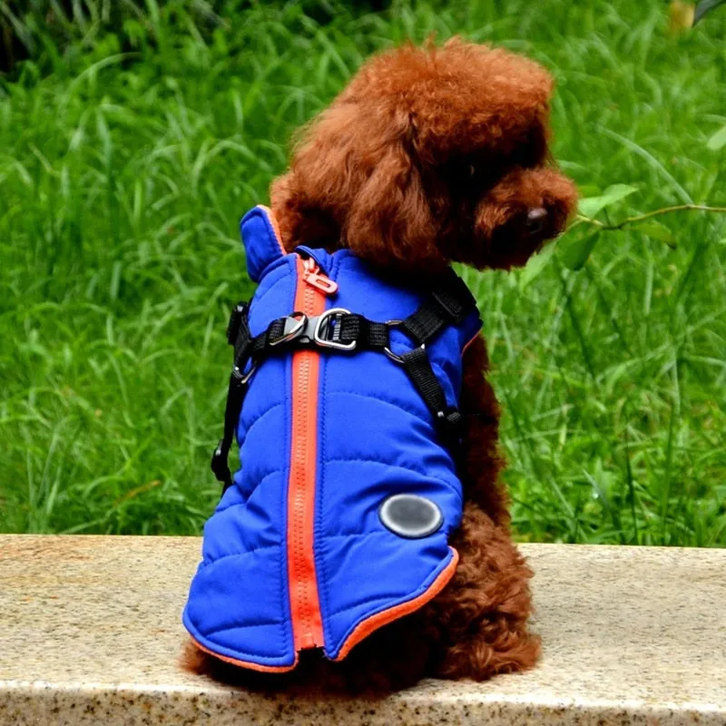 Winter Harness Jacket for Pets