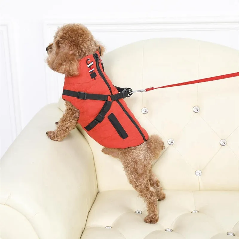 Winter Harness Jacket for Pets
