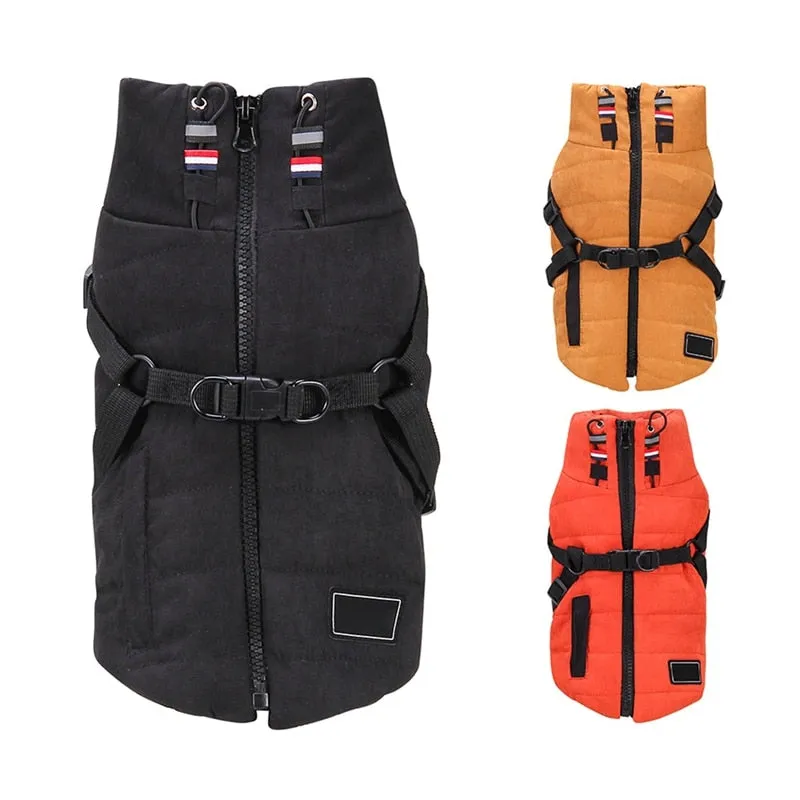 Winter Harness Jacket for Pets
