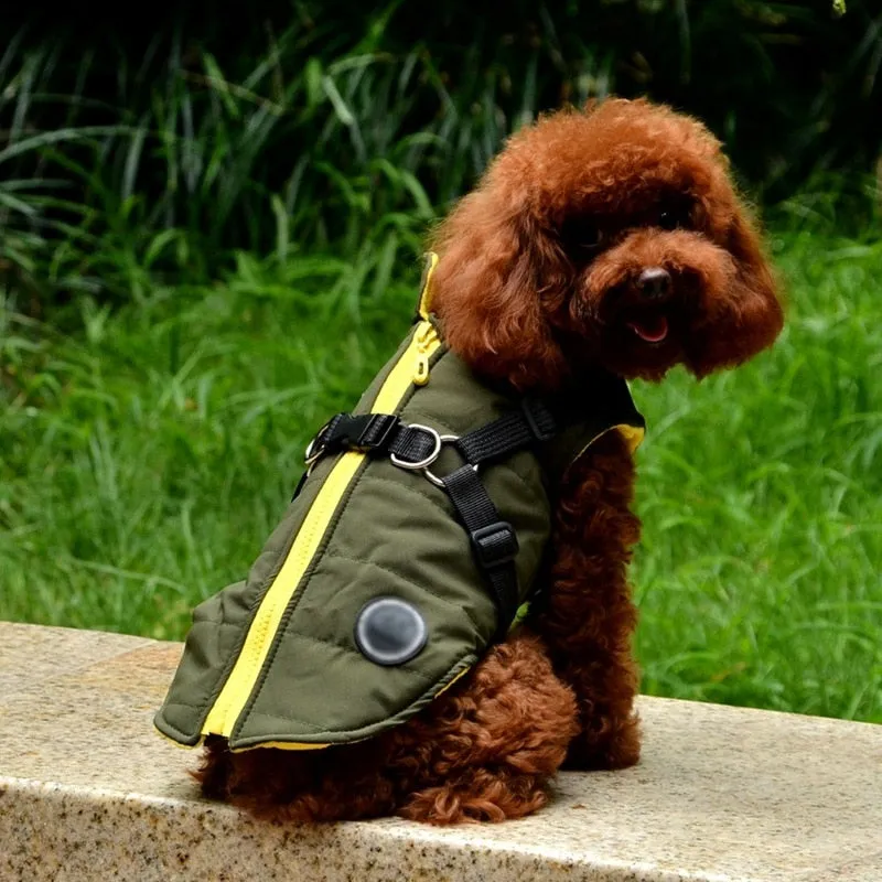 Winter Harness Jacket for Pets