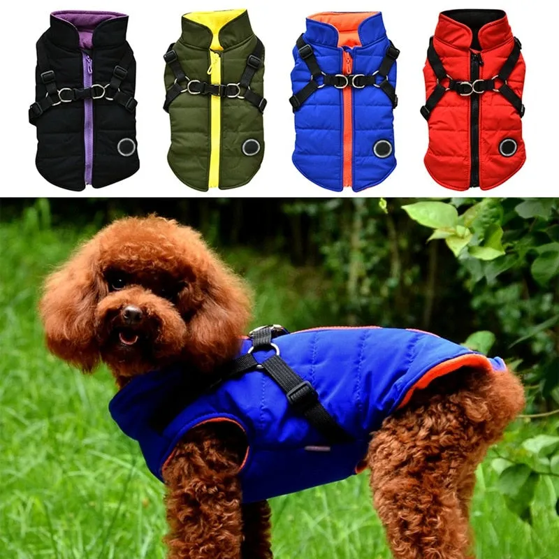 Winter Harness Jacket for Pets