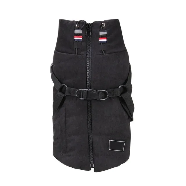 Winter Harness Jacket for Pets