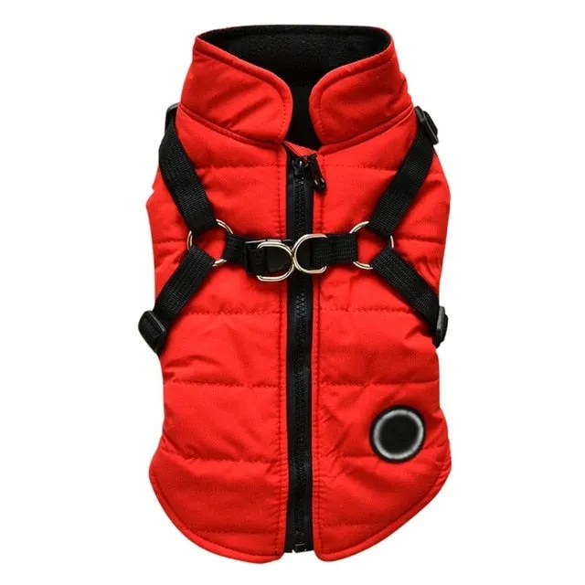 Winter Harness Jacket for Pets