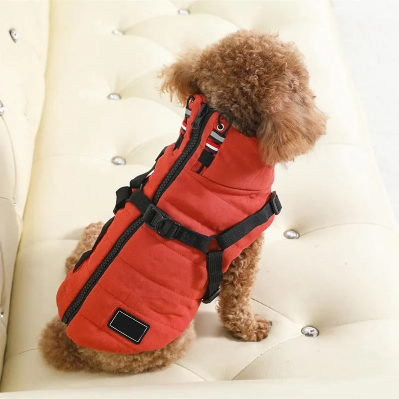 Winter Harness Jacket for Pets