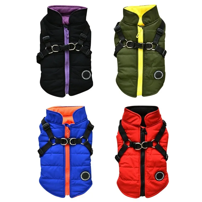 Winter Harness Jacket for Pets