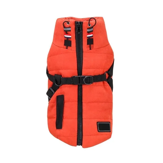 Winter Harness Jacket for Pets