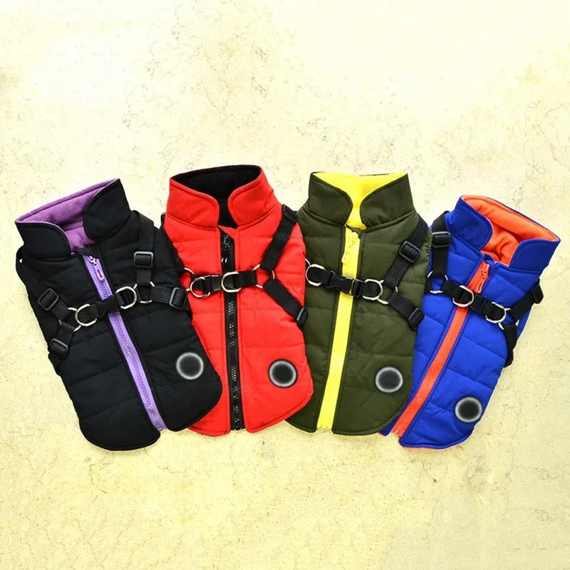 Winter Harness Jacket for Pets